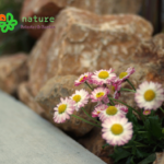 冬季休業のお知らせ