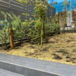 風致地区での植栽計画